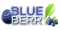 بلوبری بت Blueberrybet